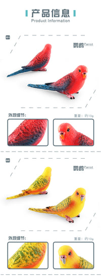 Realistic Parrot Bird Figurine Static Decoration Toy for Desktop