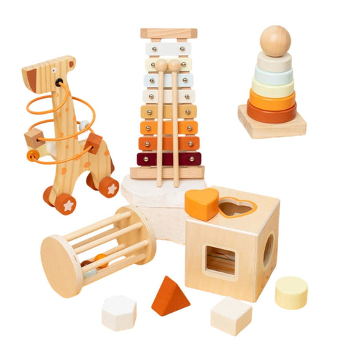 5 Pieces Wooden Play Set Fine Motor Shape Sorter Stacking Stacking Rings Sensory Sorting Game Musical for Toddlers, Playroom