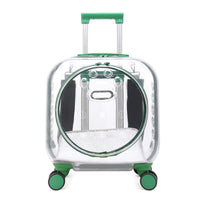 Transparent Pet Carrier Backpack