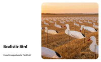 6 Pieces 2D Silhouette Goose Decoy Foldable Canadian Goose Decoy Lightweight