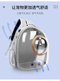 透明猫包2025新款手提太空舱宠物包批发外出透气双肩猫咪背包代发