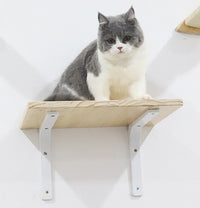 实木猫爬架小型猫抓板墙上悬挂式猫窝四季通用猫楼梯松木猫咪用品