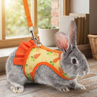 Pet Harness and Leash Set, Printed Polyester Walking Vest and Bunny Harness, Adjustable Vest for Small Pets, Comfortable Fit Outdoor Walking Use