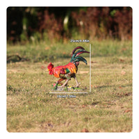 2 Pieces Resin Cock Figurine Realistic Cock Statue Hand Painted Look