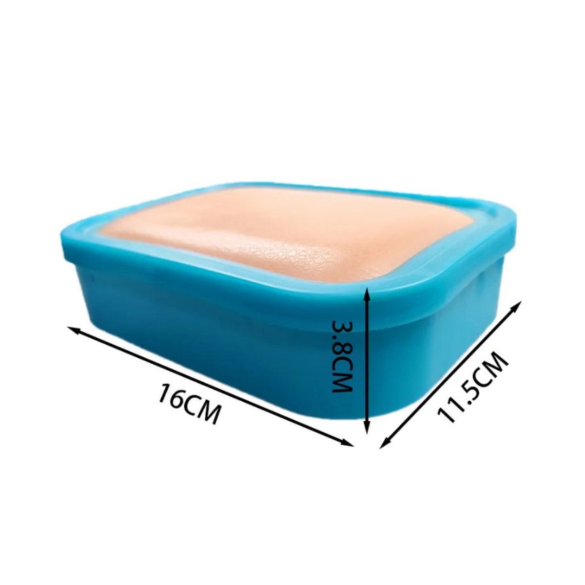 Needle Therapy Teaching Set Acupoint Map Medical Training for Classroom
