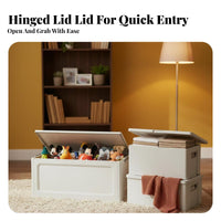 foldable Framed Organizer Foldable Clothing Container for Dorm Room, Families
