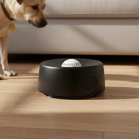 Liquid Feeder Bowl Suction Base Pet Supply Non-Slip for Indoor