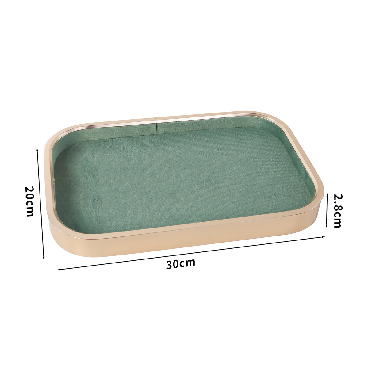 Empty Tray