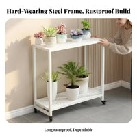2-Tier Rolling Plant Stand Floor-Standing Multi-Tiered Plant Stand Easy to Move