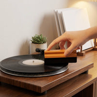 Vinyl Brush Dust Removal Disc Cleaning Brush with Wooden Handle Sturdy
