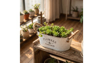 Galvanized Metal Planter with Rope Handles Vintage Oval Planter Rustic Flower Pot with Handles Farmhouse for Tabletop, Windowsill, Shelf