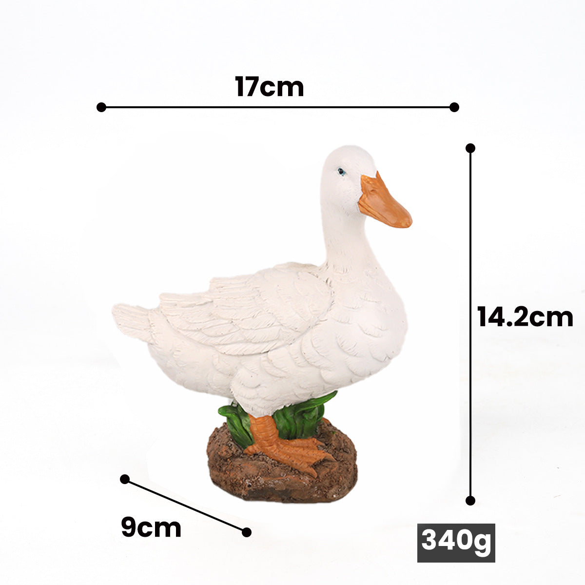 Small Lying Duck