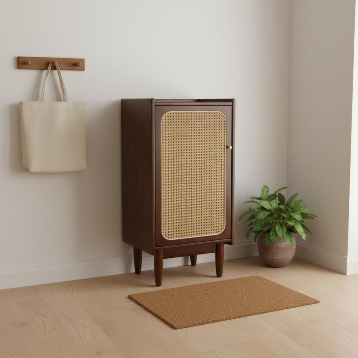 Cane Door Storage Cabinet Solid Wood Rattan Footwear Storage Unit Minimalist Style Household Furniture for Living Room