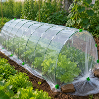 Greenhouse Hoop Supports, Fiberglass, 7mm 43cm Tunnel Supports, Rust-Resistant, Home Garden, Frost Protection