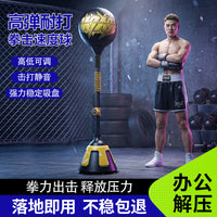 Multi-Function Punching Bag with Rebound Ball, Standing Type