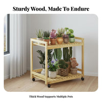 2-Tier Rolling Planter Shelf Movable with Wheels 2-Tier Rolling Plant Cart