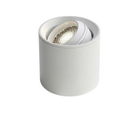 LED Ceiling Spotlight, Adjustable, Anti-Glare, Modern Accent