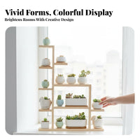 Multi-Tier Succulent Rack Staggered Levels Plant Stand Sturdy Construction
