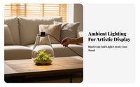 With LED Light Micro Landscape Bottle High Clarity Lichen Terrarium Bottle Elegant Design for Hobbyists, Tabletop, Living Room, Bookshelf