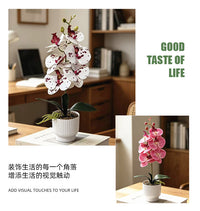 跨境大6朵蝴蝶兰仿真花盆景家居阳台玄关装饰3D手感假花盆栽绿植