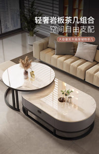 Luxury Modern Oval Sintered Stone Coffee Table with Storage, Metal Frame, for Living Room