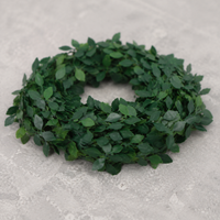 DIY Garland Set, 5 Artificial Vines 5m, Suncatcher Craft for Adults, Versatile Party