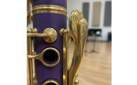 Bb Pitch Clarinet Bright Colors Bb Clarinet Construction for Students, Music Lessons