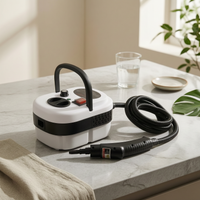 Electric Steam Cleaner with Accessories Compact Handheld Steam Cleaner High-Power Cleaning Machine Multi-Purpose for Homeowners, Housekeepers, Kitchen, Bathroom