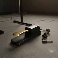 Sustain Pedal Polarity Switch Electronic Piano Foot Pedal Construction Synthesizer Footswitch for Pianists, Stage Performance