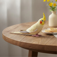 Molded Cockatiel Figurine Wildlife-Inspired Cockatiel Model Lightweight Parrot Figurine Miniature for Collectors, Hobbyists, Diorama, Desk Decoration, Shelf Display