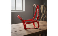 Adjustable Horse Halter Easy to Use Nylon Horse Halter Animal Tack for Riding, Training