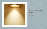Adjustable COB LED recessed spotlight