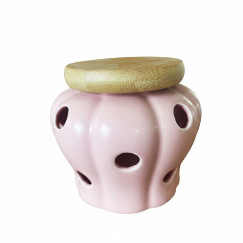 Countertop Garlic Storage Large Capacity Garlic and Ginger Container With Lid Hollowed-out Storage Pot for Pantry