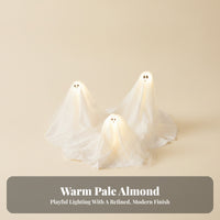 3 Pieces LED Lighted Spirit Ornaments