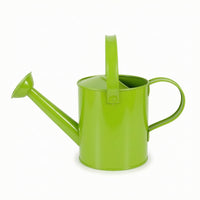 Watering Can with Sprinkler Rose Indoor Metal Watering Can Lightweight