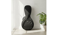 Ruan Gig Bag Padded Ruan Bag Thickened for Instrumentalists, Travel