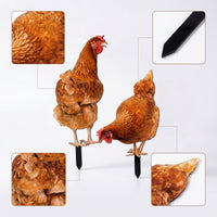 2 Pieces Acrylic Chicken Silhouettes Decorative Silhouette Statue Weatherproof