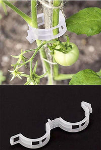 绿植果树植物固定夹卡扣藤蔓固定器秧苗爬藤支撑杆果蔬秧苗吊夹