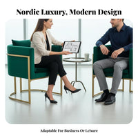 Shell Rear Armchair Light Luxury Reception Set Nordic Aesthetic Fashionable Design for Business Owners, Homeowners, Cafe, Office