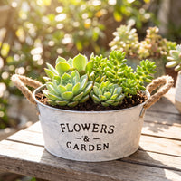 Farmhouse Galvanized Bucket Planter Vintage Metal Flower Pot with Handles White Wash Planter with Rope Handles Lightweight for Balcony, Shelves