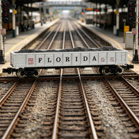 Detailed Lettering Florida FEC Carbon Car Exact Fit N Scale Freight Car Miniature Accessory Hopper Load Insert Easy Installation for Railway Collectors, Miniature Scene