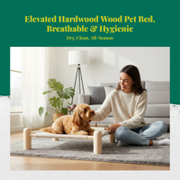 Elevated Dog Bed, Breathable Mesh, Non-Slip, Indoor/Outdoor