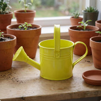 Metal Watering Can Glossy Yard Item Perforated