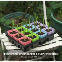 12 Cell Seedling Tray with Dome Transparent Lid Growing Kit Reusable Mini Greenhouse Propagator for Beginners