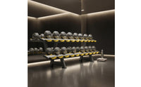 Two-Tier 10-Pair Dumbbell Rack Saddled Cradles Double-Layer Dumbbell Rack Angled Legs Fitness Storage Metal
