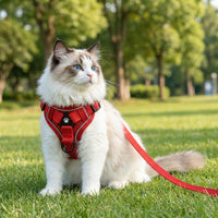 Cat Harness and Leash Set, Polyester Vest Style Adjustable Walking Harness for Outdoor Use, Secure Non-Retractable Cat Walking Leash Accessory