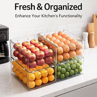 Desktop Organizer Box, Clear Acrylic Rectangular Design, Kitchen Cabinet Storage for Shelves, Bin for Office