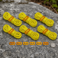 Windproof Camping Tent Rope Set with Buckles - 6-Pack, 4mm High-Strength Paracord
