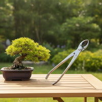 Bonsai Pruning Tool Compact Bonsai Pruning Shears Sharp Garden Tools for Gardeners
