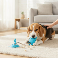 Slipper Dog Toy with Rope Tug-of-War Dog Gnaw Toy with Suction Cup Textured for Medium Dogs, Boredom Relief, Indoor Play